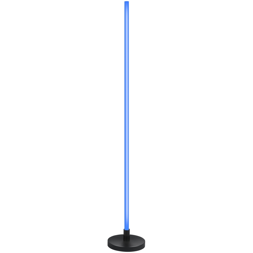 Grundig - RGB LED Dimmable Floor Lamp LED/5W/5V + remote control