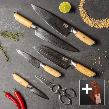Gudaro - 5-piece HIKARI Damascus kitchen knife set + knife stand and poultry shears