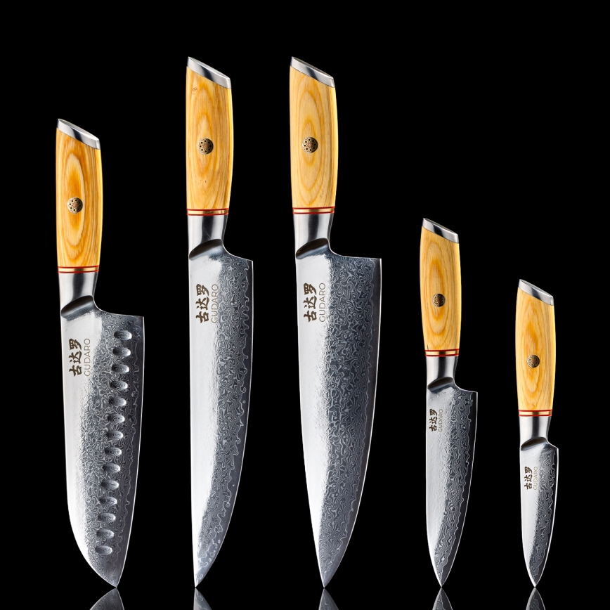 Gudaro - 5-piece HIKARI Damascus kitchen knife set with magnetic holder