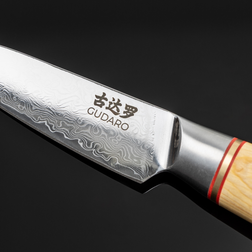 Gudaro - 5-piece HIKARI Damascus kitchen knife set with magnetic holder