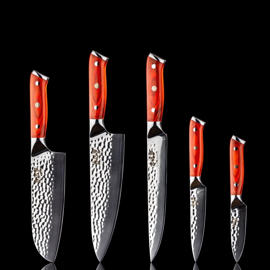 Gudaro - 5-Piece MIYABI Damascus Kitchen Knife Set + Magnetic Knife Holder