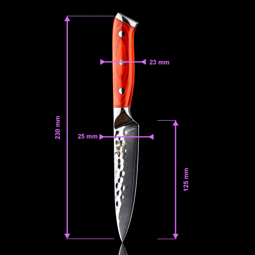 Gudaro - 5-Piece MIYABI Damascus Kitchen Knife Set + Magnetic Knife Holder