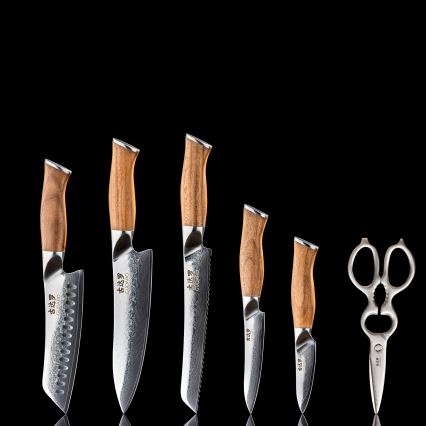 Gudaro – 5-Piece TAKUMI Damascus Kitchen Knife Set + Knife Block and Poultry Shears