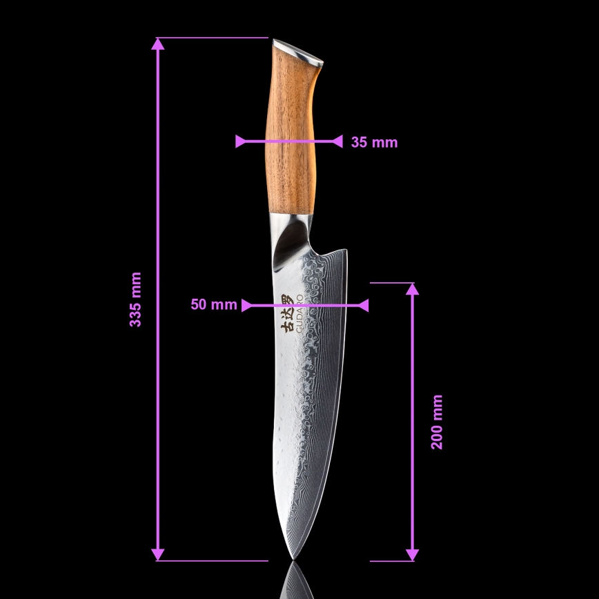 Gudaro – 5-Piece TAKUMI Damascus Kitchen Knife Set + Knife Block and Poultry Shears