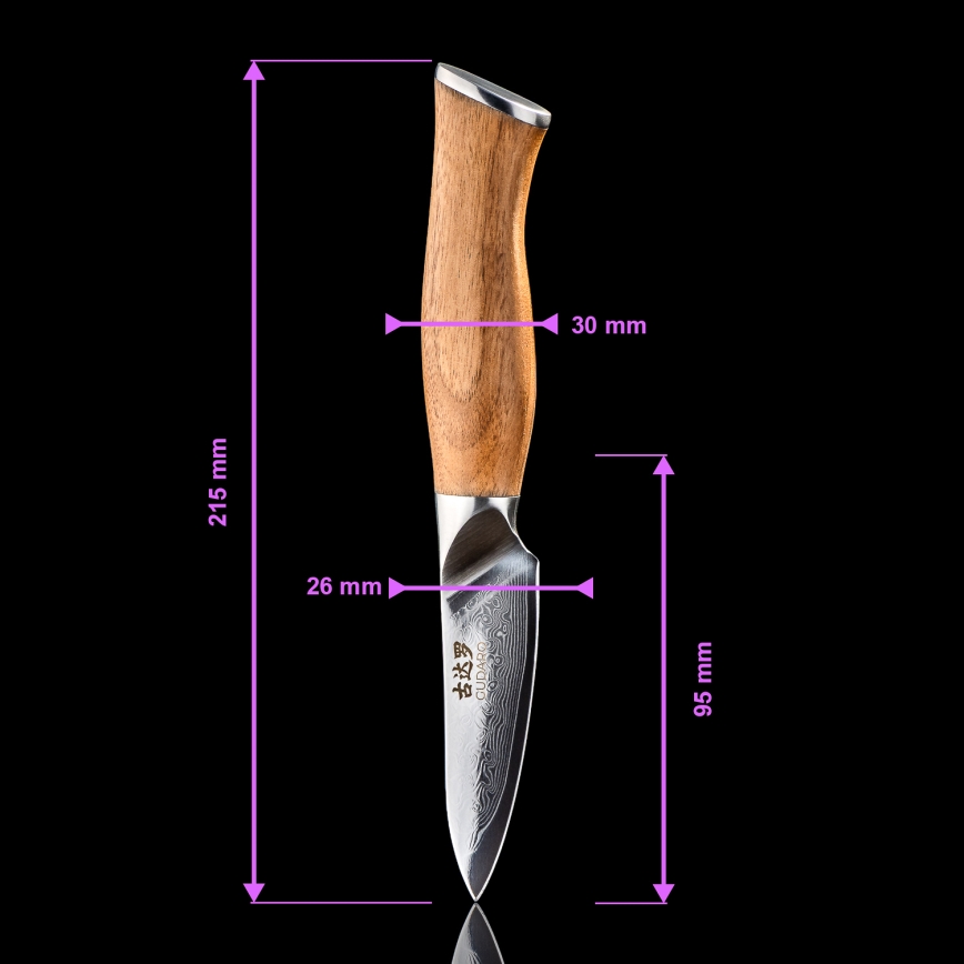 Gudaro – 5-Piece TAKUMI Damascus Kitchen Knife Set + Knife Block and Poultry Shears