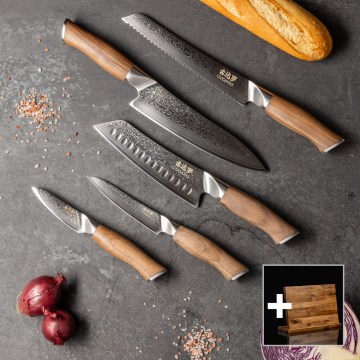 Gudaro - 5-piece TAKUMI Damascus Kitchen Knife Set + Magnetic Holder