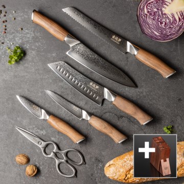 Gudaro - 5-piece TAKUMI Damascus steel kitchen knife set + knife stand and poultry shears