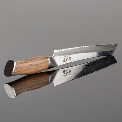 Gudaro - TAKUMI 8 Damascus bread knife, 67-layer steel, 20 cm blade, walnut handle