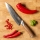 Gudaro - Damascus chef's knife TAKUMI 8