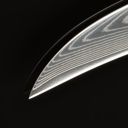 Gudaro -Damascus kitchen fruit knife FENG 3.5, 67-layer steel, length 9.5cm