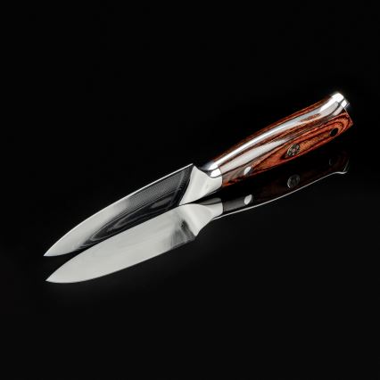 Gudaro - Damascus steel kitchen knife FENG 3,5, 67 layers of steel, length 9,5 cm