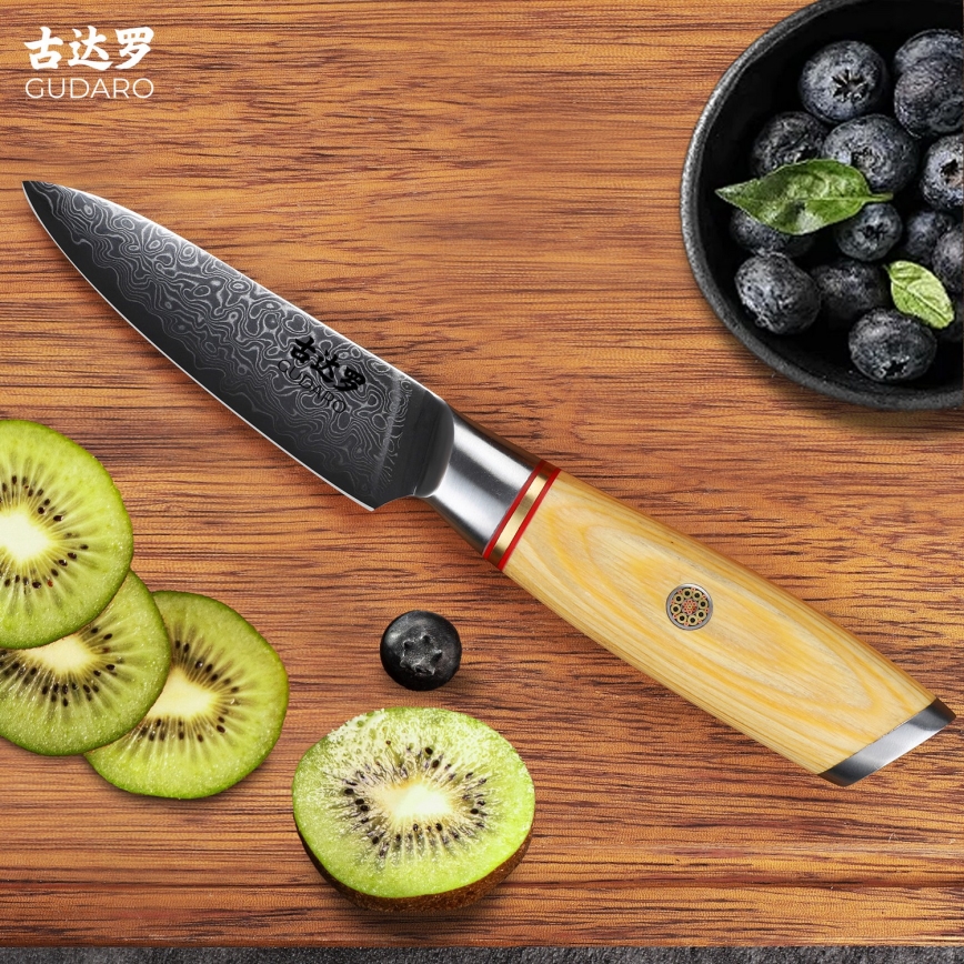 Gudaro - HIKARI 3.5 Damascus Kitchen Knife, 67-layer steel, length 9.5 cm