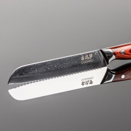 Gudaro - KENSHO 5-Piece Damascus Kitchen Knife Set with Magnetic Knife Holder