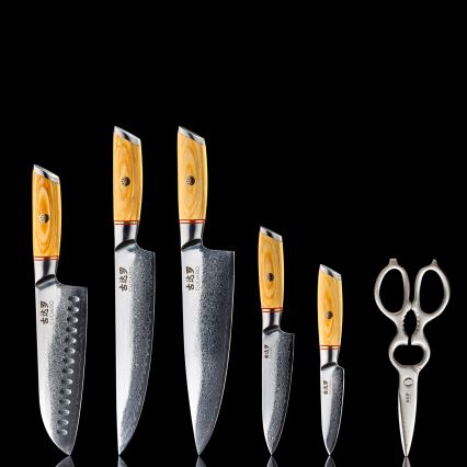 Gudaro - 5-piece HIKARI Damascus kitchen knife set + knife stand and poultry shears