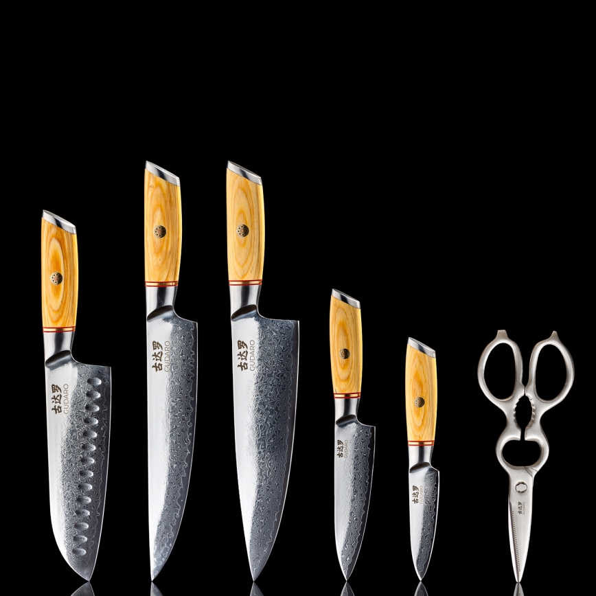 Gudaro - 5-piece HIKARI Damascus kitchen knife set + knife stand and poultry shears