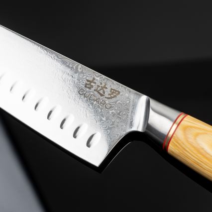 Gudaro - 5-piece HIKARI Damascus kitchen knife set + knife stand and poultry shears
