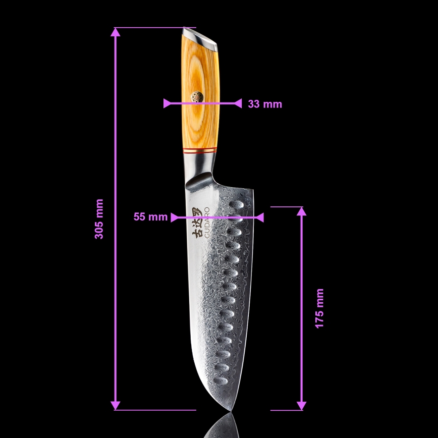 Gudaro - 5-piece HIKARI Damascus kitchen knife set + knife stand and poultry shears