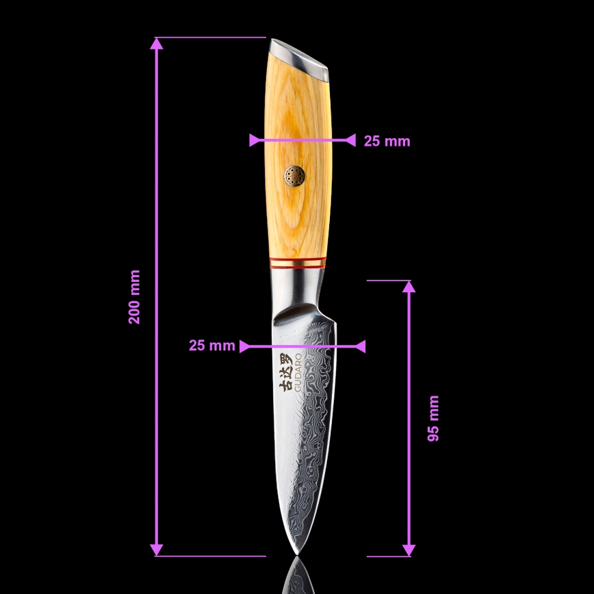 Gudaro - 5-piece HIKARI Damascus kitchen knife set + knife stand and poultry shears