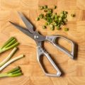 Gudaro - SHOGUN Poultry Shears, 23.3 cm, Silver