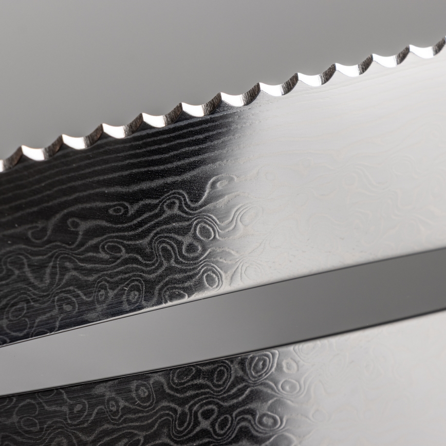 Gudaro - TAKUMI 5-piece Damascus kitchen knife set + magnetic holder