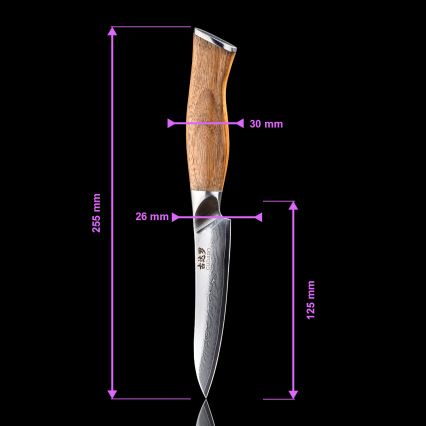 Gudaro - TAKUMI 5-piece Damascus kitchen knife set + magnetic holder