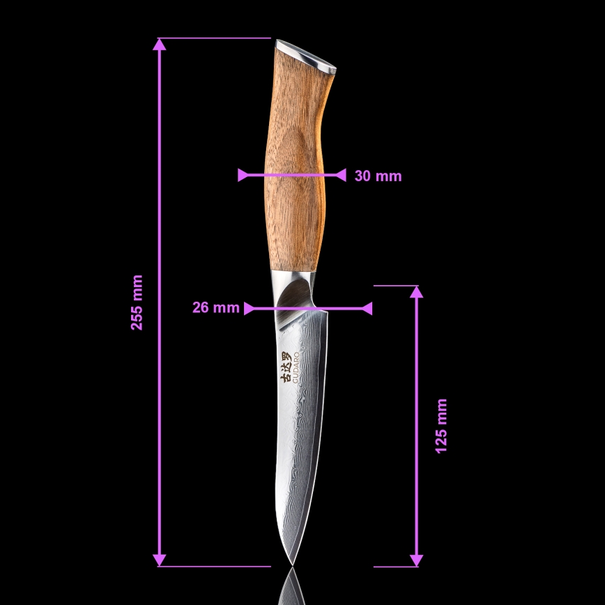 Gudaro - TAKUMI 5-piece Damascus kitchen knife set + magnetic holder