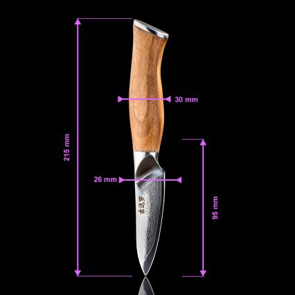 Gudaro - TAKUMI 5-piece Damascus kitchen knife set + magnetic holder