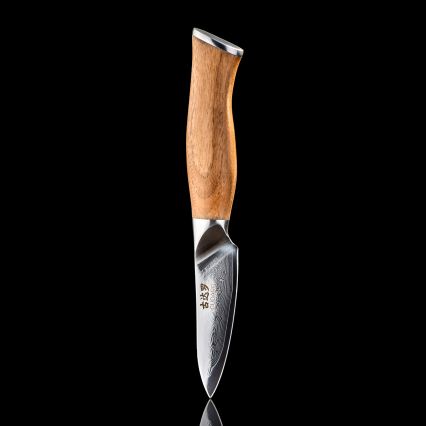 Gudaro - TAKUMI Damascus Kitchen Knife 3.5, 67-layer steel, length 9.5 cm, walnut