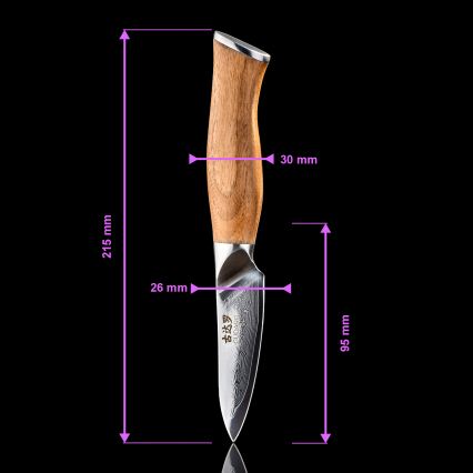 Gudaro - TAKUMI Damascus Kitchen Knife 3.5, 67-layer steel, length 9.5 cm, walnut