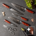 Gudaro — MIYABI 5-Piece Damascus Kitchen Knife Set + Knife Stand and Poultry Shears