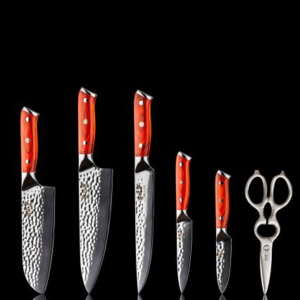 Gudaro — MIYABI 5-Piece Damascus Kitchen Knife Set + Knife Stand and Poultry Shears