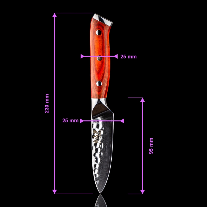 Gudaro — MIYABI 5-Piece Damascus Kitchen Knife Set + Knife Stand and Poultry Shears