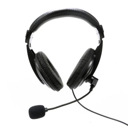 Headphones with a microphone USB black