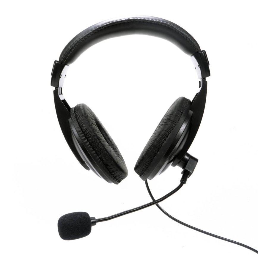 Headphones with a microphone USB black