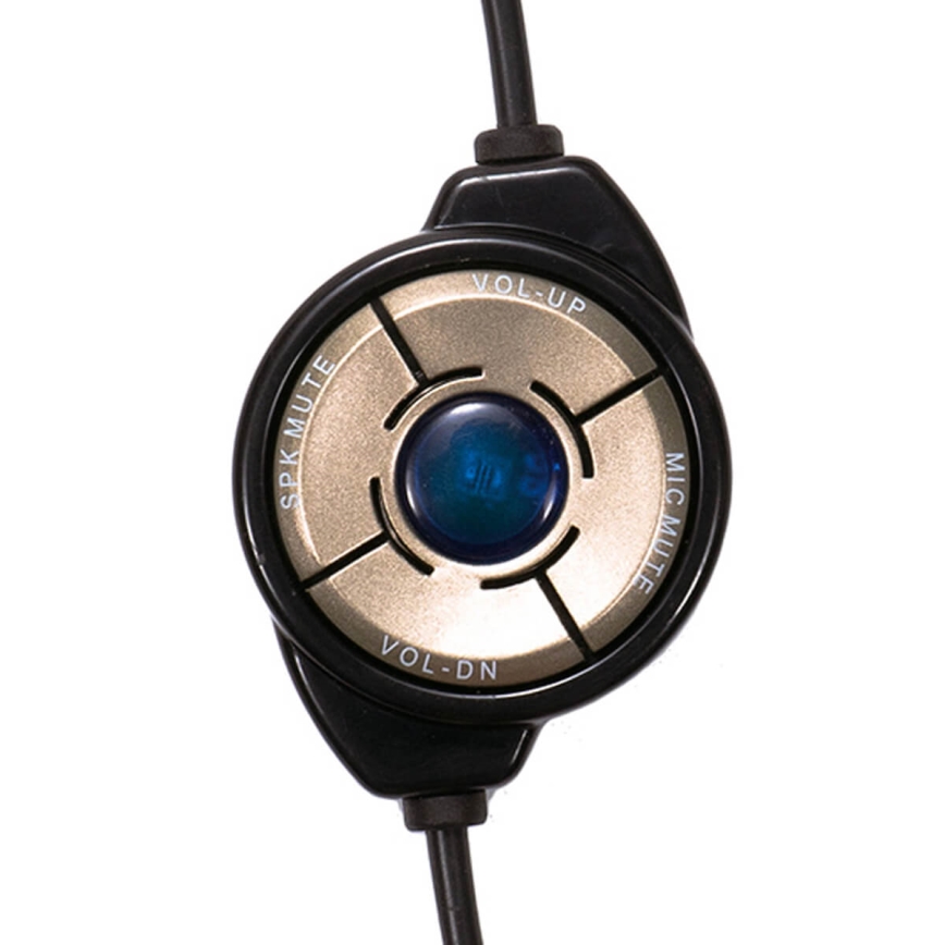 Headphones with a microphone USB black