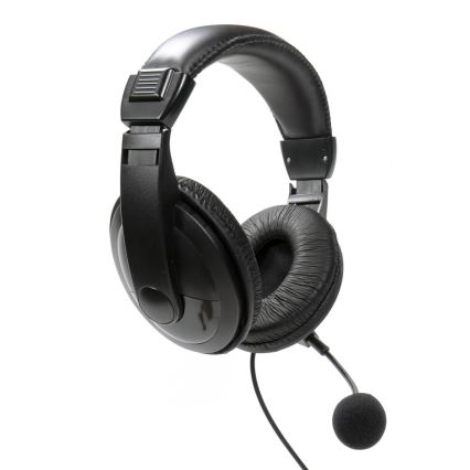 Headphones with a microphone USB black
