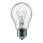 Heavy-duty bulb E27/60W/230V 2200K