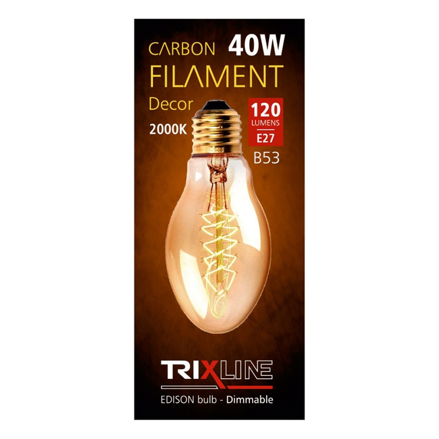 Heavy-duty decorative dimmable bulb VINTAGE B53 E27/40W/230V 2000K