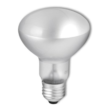 Heavy-duty floodlight bulb R63 E27/40W/230V 2700K