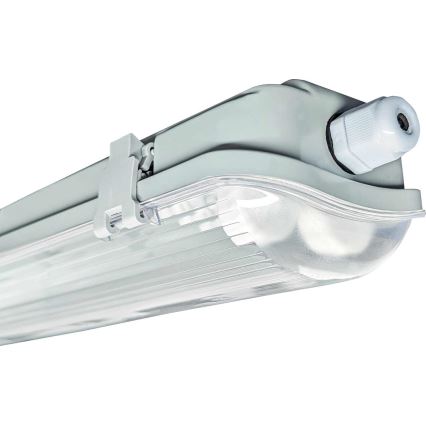 Heavy-duty fluorescent light HERMETIC T8 2xG13/22W/230V 120 cm IP65