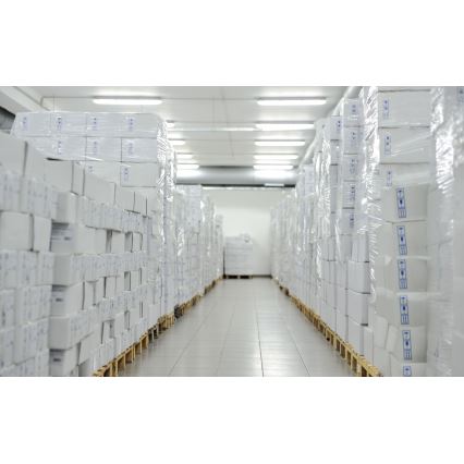 Heavy-duty fluorescent light LIMEA T8 1xG13/20W/230V IP65 120cm