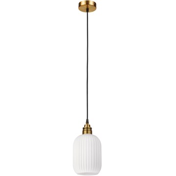HECTOR Cable Pendant Lamp 1xE27/15W/230V Ø 14 cm