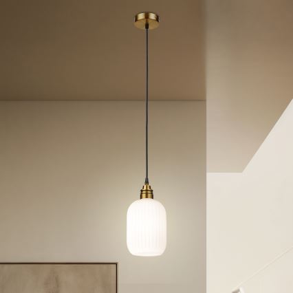 HECTOR Cable Pendant Lamp 1xE27/15W/230V Ø 14 cm