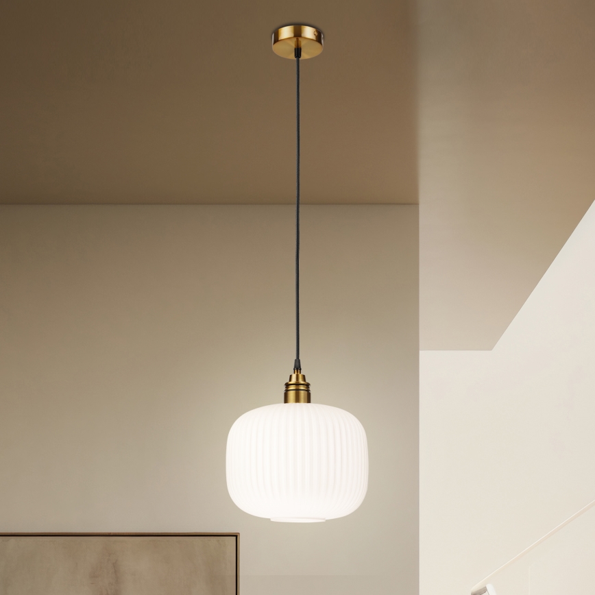 HECTOR Cable Pendant Light 1xE27/15W/230V Ø 25 cm