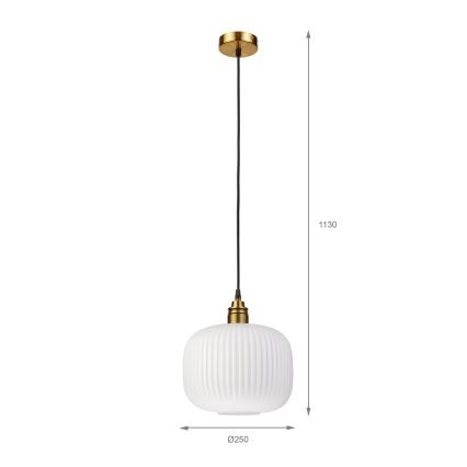 HECTOR Cable Pendant Light 1xE27/15W/230V Ø 25 cm