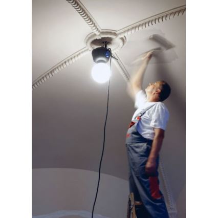 Helios 306-WLG223 - LED Outdoor heavy-duty lighting WORK GLOBE 2 LED/23W/230V IP44