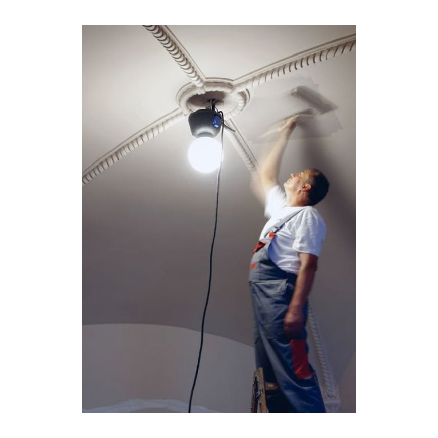 Helios 306-WLG223 - LED Outdoor heavy-duty lighting WORK GLOBE 2 LED/23W/230V IP44