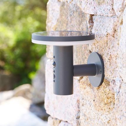 Hesperide - LED Solar Wall Lamp with Motion Sensor DETEKT LED/3,7V 2600 mAh IP65