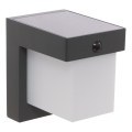 Hesperide - MULTY LED Solar Wall Light with Motion Sensor, 3.7 V 2600 mAh, IP65, Anthracite