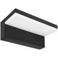 HESTIO LED Outdoor Wall Light, 9W/230V, 4000K, IP44, Black